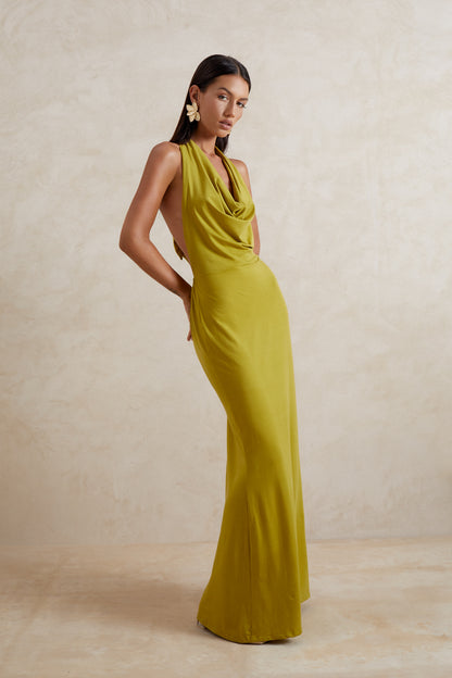 IRIS DRESS
